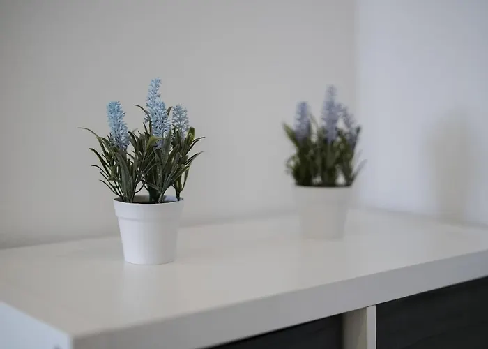 Wonderful Da Rocha Flat By Lovelystay *